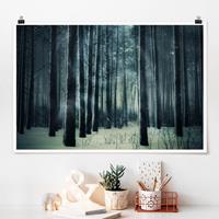 Klebefieber Poster Mystischer Winterwald