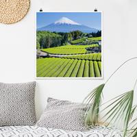 Klebefieber Poster Teefelder vor dem Fuji