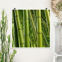 Klebefieber Poster Bamboo Trees