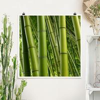 Klebefieber Poster Bamboo Trees