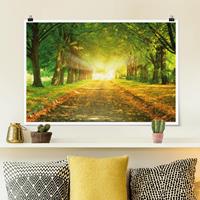 Klebefieber Poster Autumn Avenue