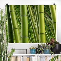 Klebefieber Poster Bamboo Trees No.2