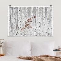 Klebefieber Poster Birken im Herbst