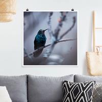 Klebefieber Poster Kolibri im Winter