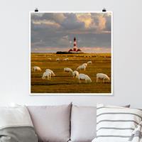 Klebefieber Poster Nordsee Leuchtturm mit Schafsherde