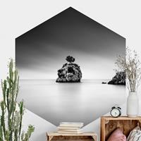Klebefieber Hexagon Fototapete selbstklebend Felseninsel im Meer Schwarz-Weiß