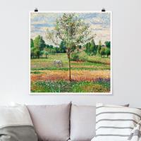 Poster Camille Pissarro - Wiese mit Schimmel