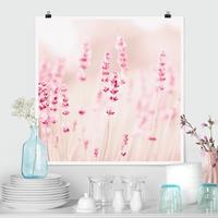 Klebefieber Poster Zartrosaner Lavendel