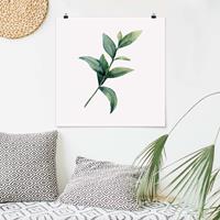 Klebefieber Poster Aquarell Eucalyptus II