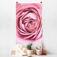 Klebefieber Poster Rosa Rosenblüte