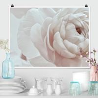 Klebefieber Poster Weiße Blüte im Blütenmeer