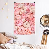 Klebefieber Poster Rosen Rosé Koralle Shabby