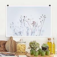 Klebefieber Poster Zartblaue Wildblumen