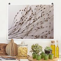 Klebefieber Poster Zarte Gräser im Windschatten