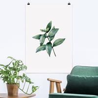 Klebefieber Poster Aquarell Eucalyptus III