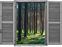 queence Wandfolie Bos (1 stuk)