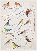 Komar Wandfolie Vogels zelfklevend