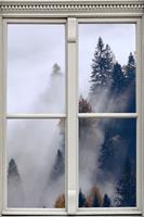 queence Wandfolie Mist