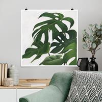 Klebefieber Poster Lieblingspflanzen - Monstera