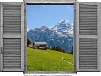 queence Wandfolie Alpenhut (1 stuk)