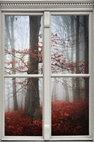 queence Wandfolie Bos in de herfst