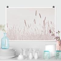 Klebefieber Poster Sommerliches Schilfgras