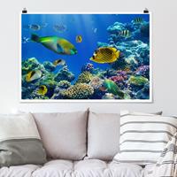 Klebefieber Poster Underwater Lights