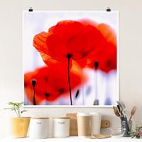 Klebefieber Poster Magic Poppies