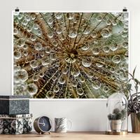 Klebefieber Poster Pusteblume im Herbst