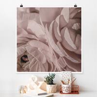 Klebefieber Poster Errötete Blüte