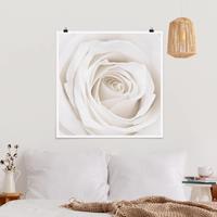 Klebefieber Poster Pretty White Rose