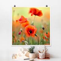 Klebefieber Poster Roter Sommermohn