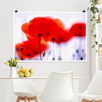 Klebefieber Poster Magic Poppies