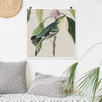 Bilderwelten Poster Blumen - Quadrat Vogel auf Leinen Rosa I