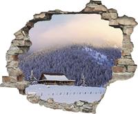 queence Wandfolie Alpenhut (1 stuk)
