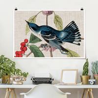 Bilderwelten Poster Kunstdruck - Querformat Vogel auf Leinen Rosa II