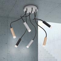 Paul Neuhaus Pure-Gemin LED plafondlamp 6lamps mix