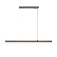 Paul Neuhaus Sina LED hanglamp CCT Touch