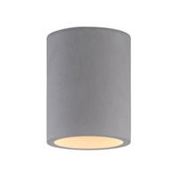 Paul Neuhaus Eton plafondlamp van beton, rond