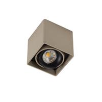 KS Verlichting Opbouwspot Bjorn 1 champagne
