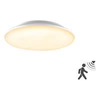 EVN LICHTTECHNIK LED-Anbauleuchte L30180125BM