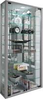 VCM Wandvitrine Sammelvitrine Glasvitrine Wand Vitrine Regal Schrank Glas Hängevitrine Vitrosa Maxi Spiegel silber