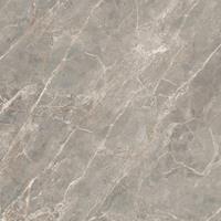 Douglas Jones Magnum Vloer- en wandtegel 120x120cm 6mm gerectificeerd porcellanato Gris 1839109