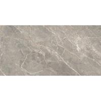 Douglas Jones Magnum Vloer- en wandtegel 60x120cm 6mm gerectificeerd porcellanato Gris 1839066