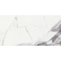 Douglas Jones Magnum Vloer- en wandtegel 60x120cm 6mm gerectificeerd porcellanato Argent 1838976