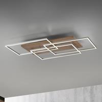 Paul Neuhaus Palma LED plafondlamp CCT frames