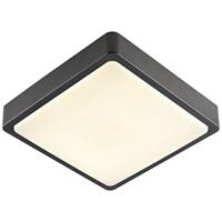 SLV LED Wand- und Deckenleuchte Ainos in Anthrazit und Weiß-satiniert 18W 1300lm IP65