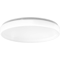 RZB 312085.002.1 - Ceiling-/wall luminaire 1x21W 312085.002.1