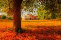 Papermoon Fototapete »Russische Herbstlandschaft«, samtig, Vliestapete, hochwertiger Digitaldruck