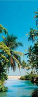 Papermoon Fotobehang Palm Logoon - deurbehang Vlies, 2 banen, 90x 200 cm (2 stuks)